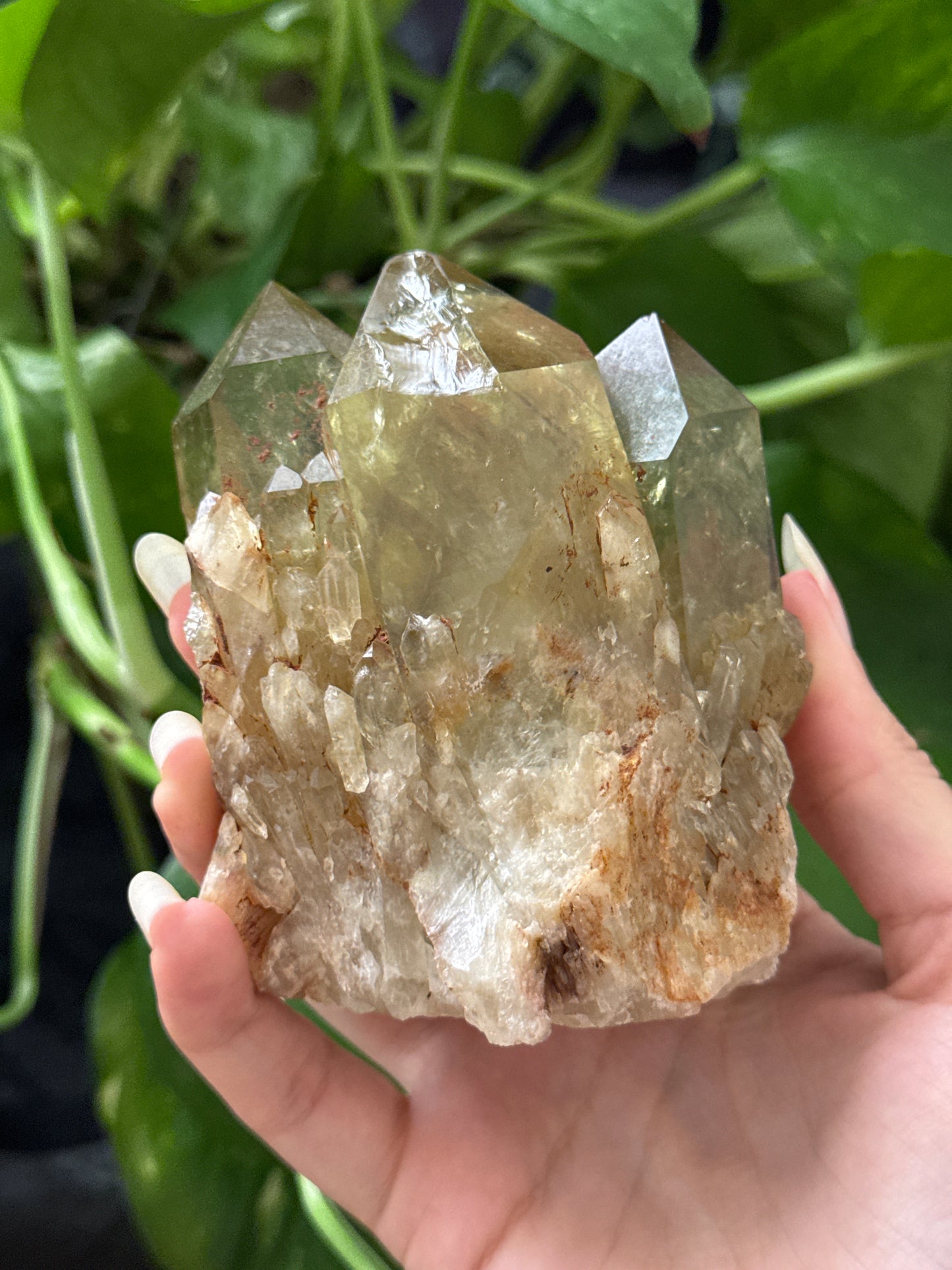 Natural Congo Citrine Specimen B