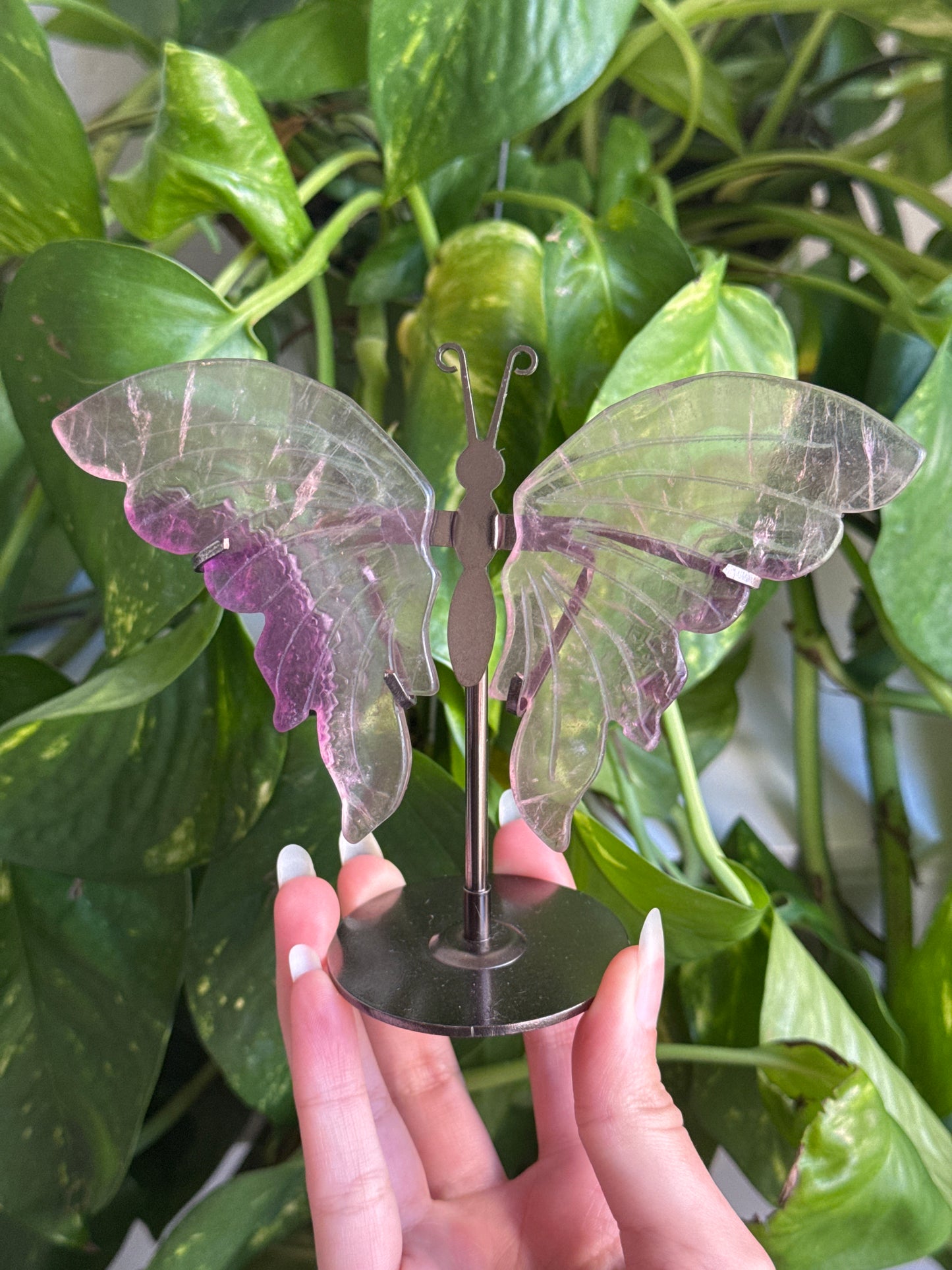 Clear Fluorite Butterfly Stand