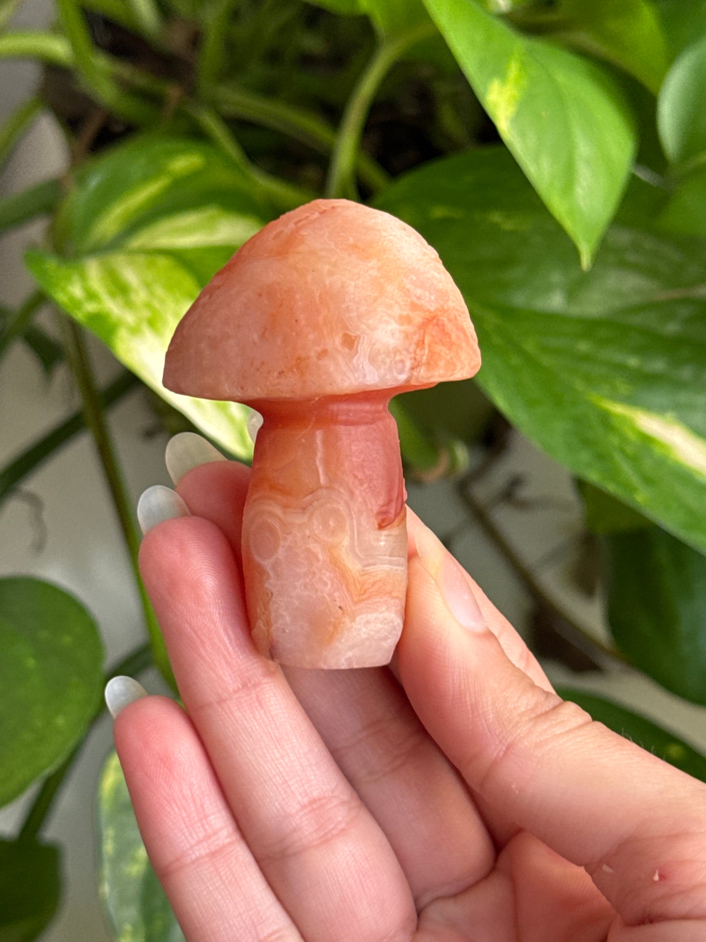 Gobi Agate Mushroom B