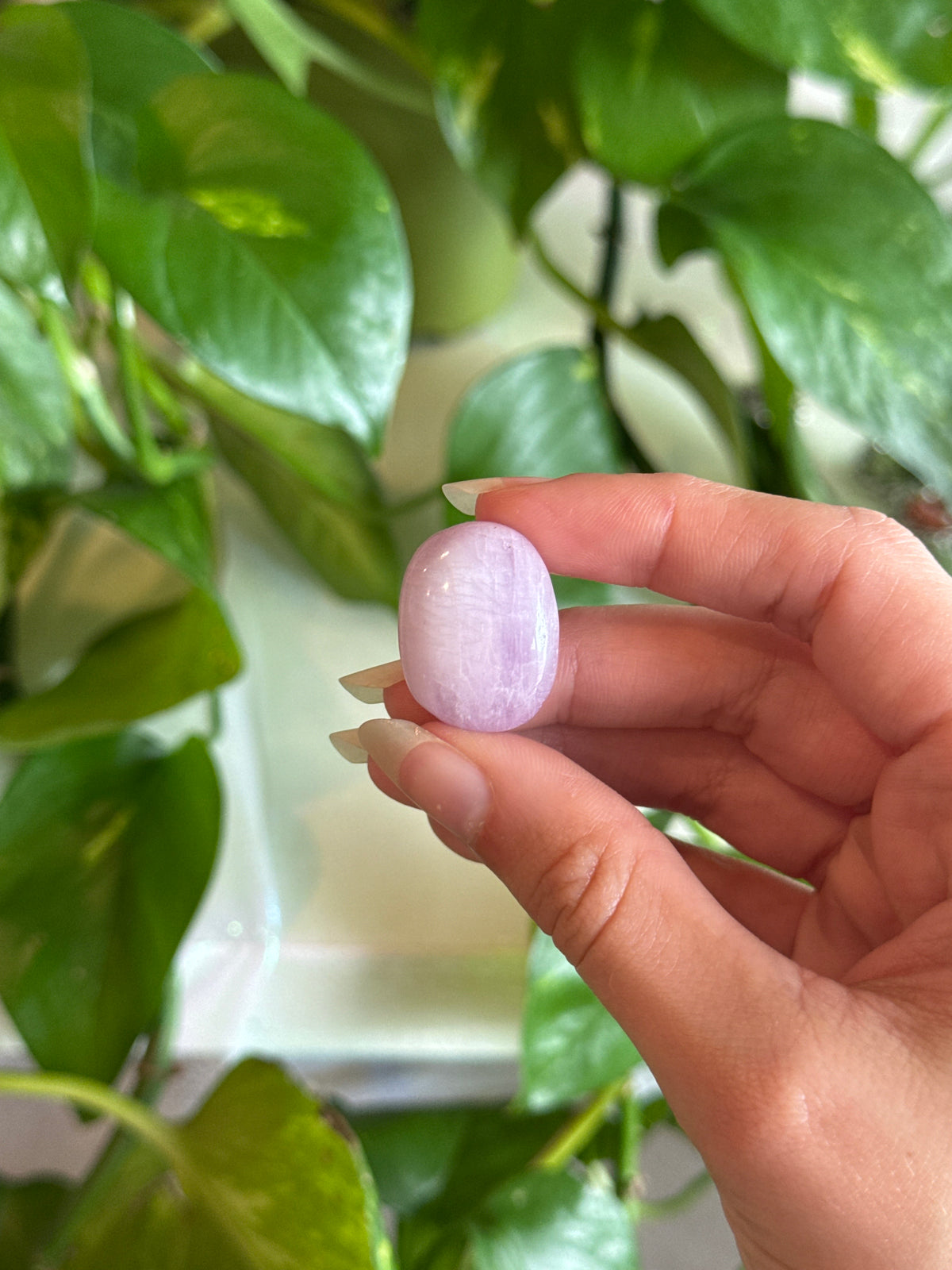 Kunzite Cats Eye Sheen Tumble