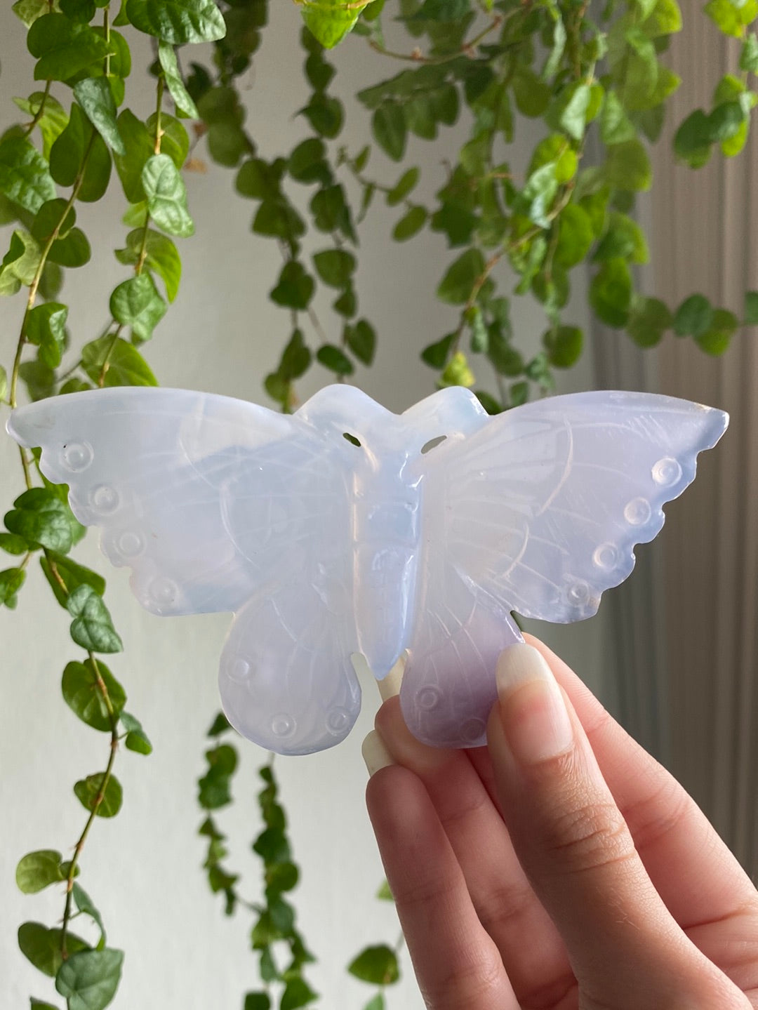 Large Clear Blue Chalcedony Butterfly | You Pick