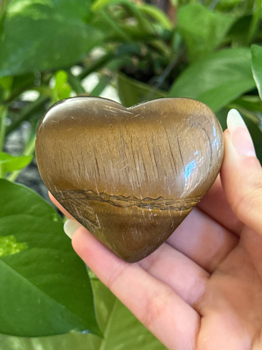 Chubby Tigers Eye Heart
