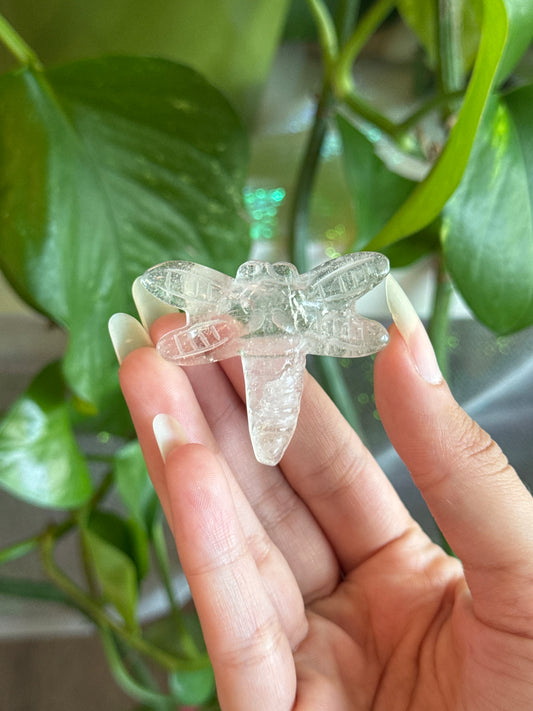 Clear Quartz Dragon Fly Carving