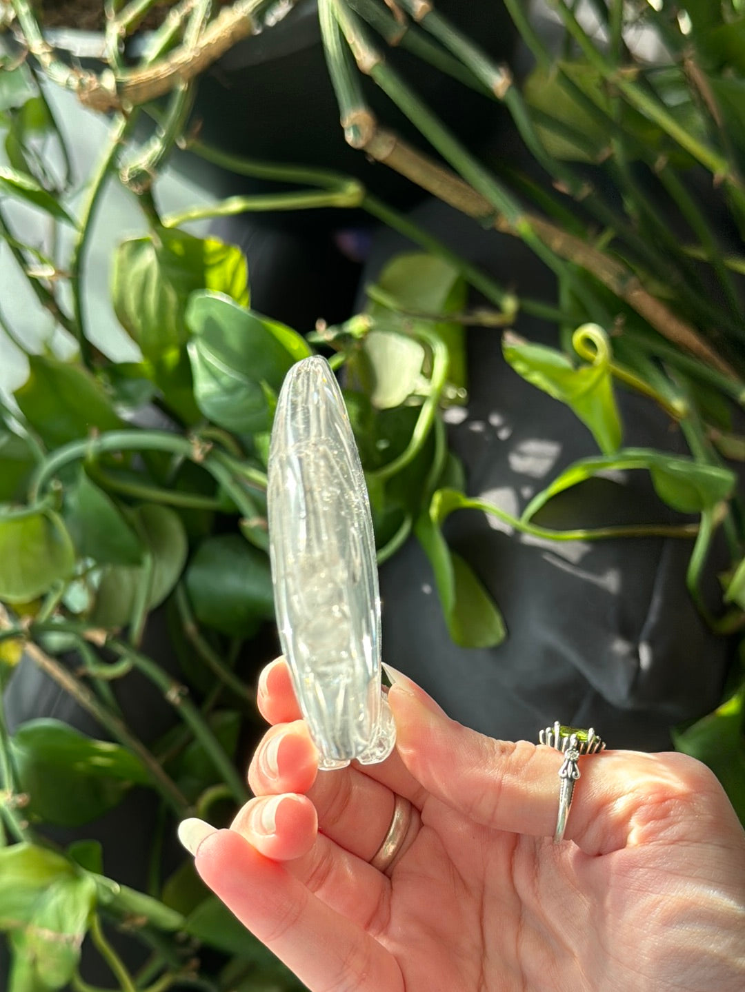 High Grade Brazilian Clear Quartz Fish-Self Standing