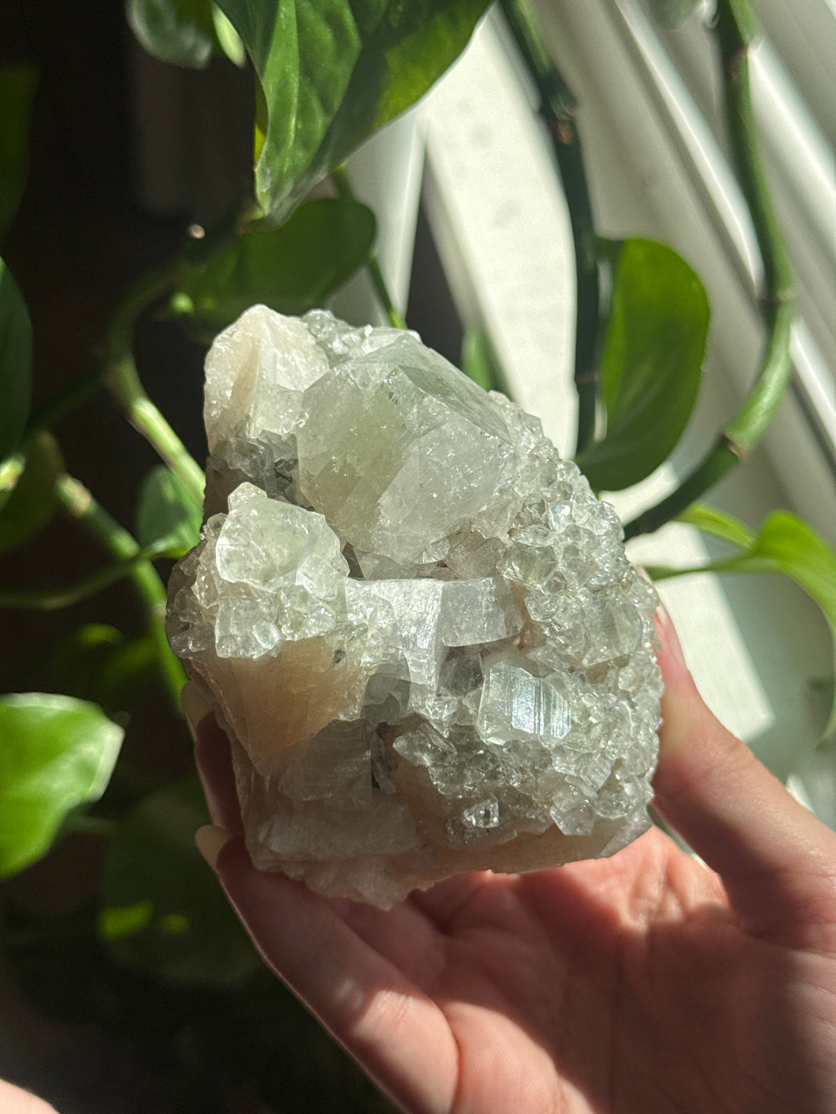 Peach Stilbite and Cubic Apophylite Specimen