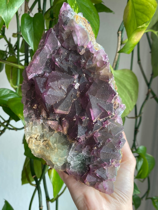 XL Unique Magenta/Green Cubic Fluorite Specimen