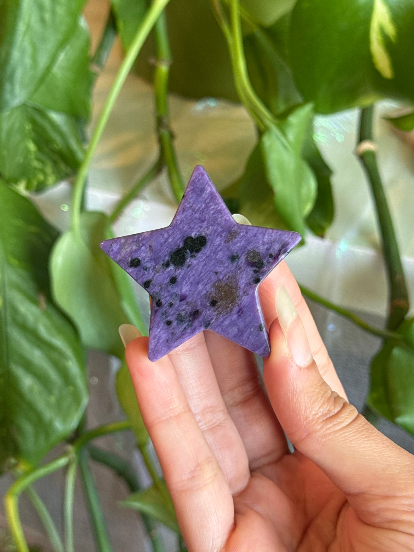 Charoite Star Carving