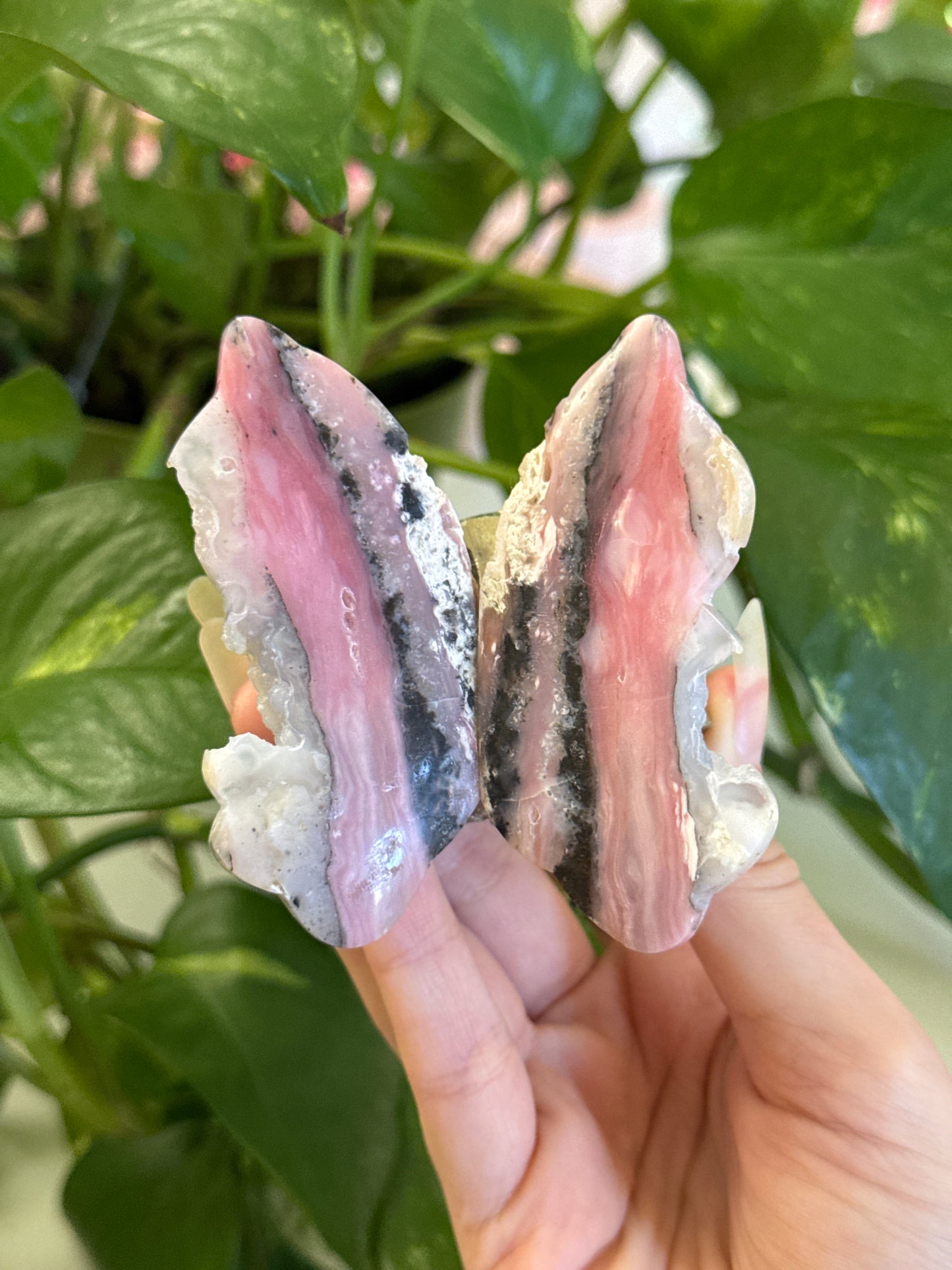 Hand Carved Peruvian Pink Opal Butterfly on Cubic B