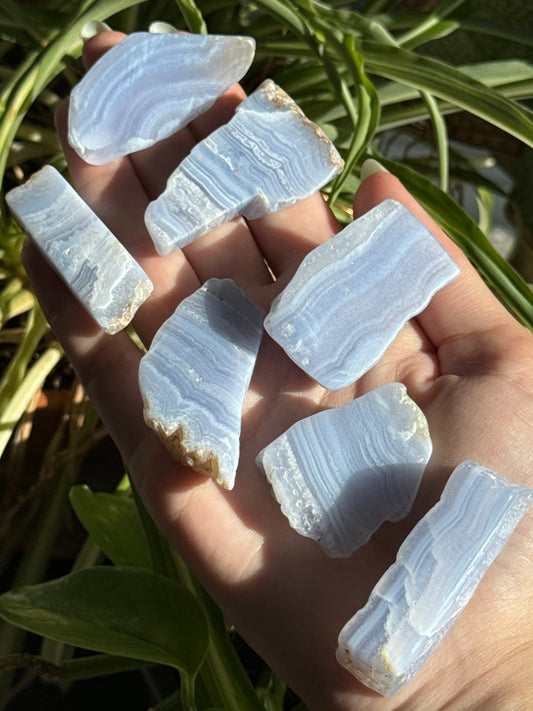 Blue Lace Agate Freeform/Slice