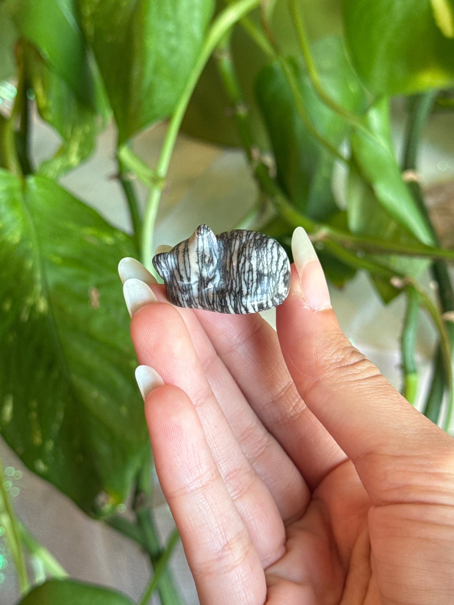 Spider Web Jasper Sleeping Kitty Carving
