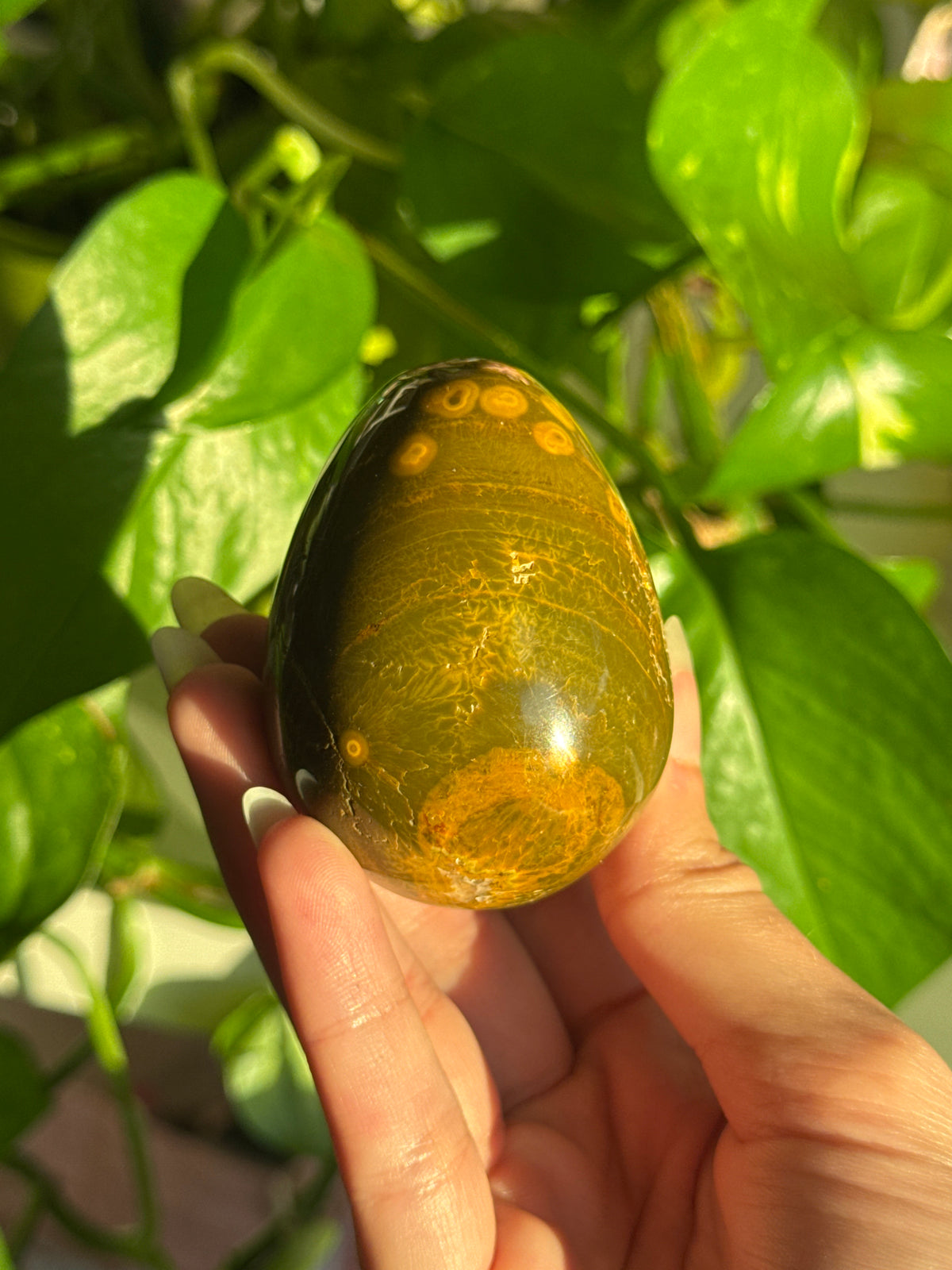 Speckled Deep Green Sea Jasper Egg