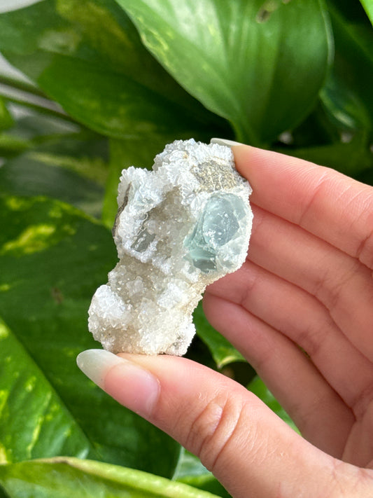 Sugar Cubic Fluorite Specimen