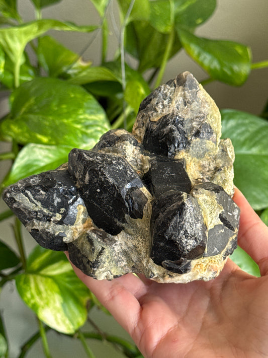 Large Epidote on Smoky Quartz Cluster