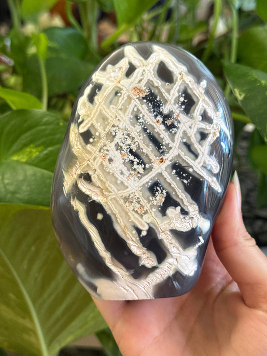 Super Unique Orca Agate Freeform