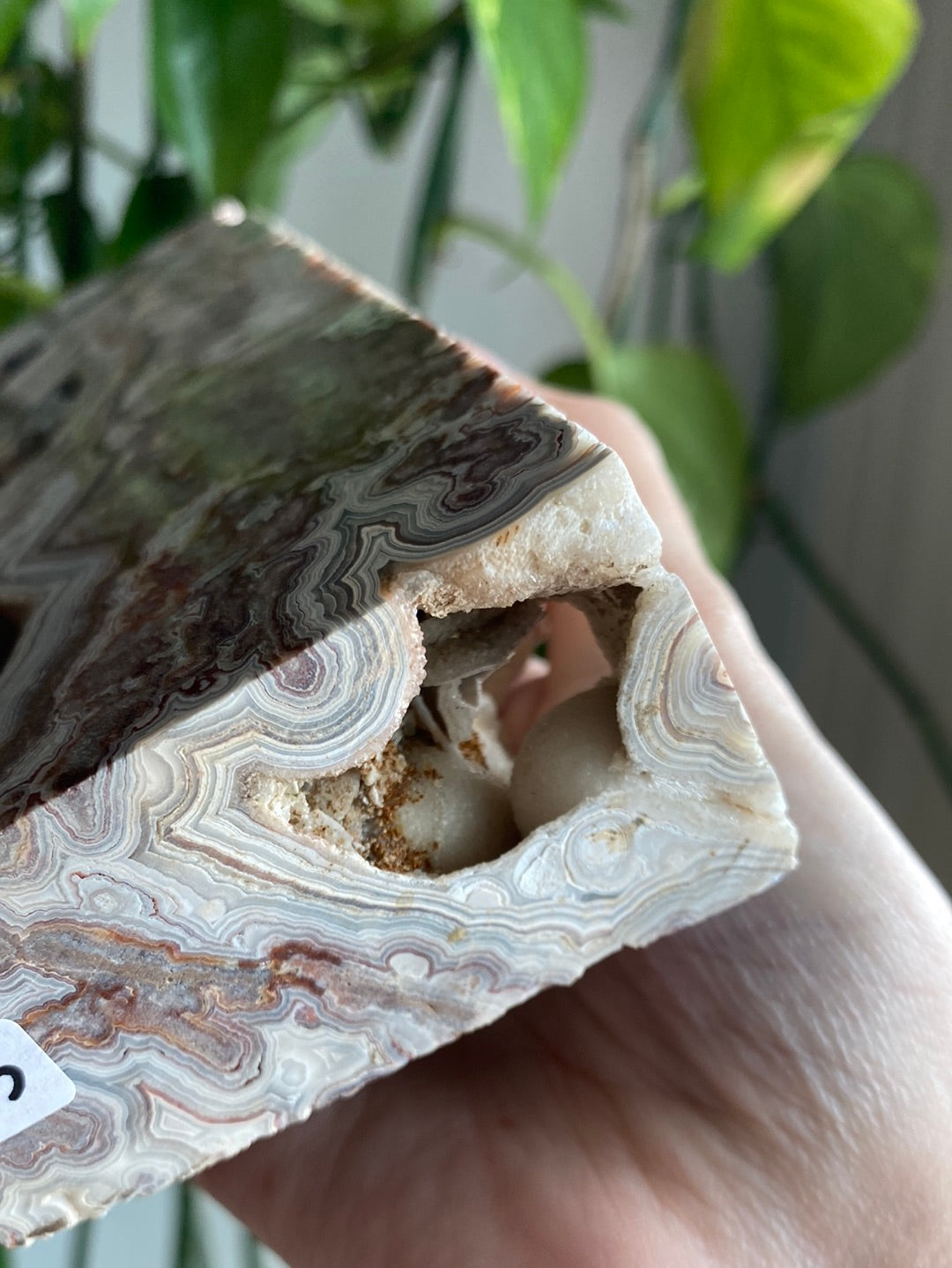 XL Mexican Crazy Lace Agate Tower With Druzy