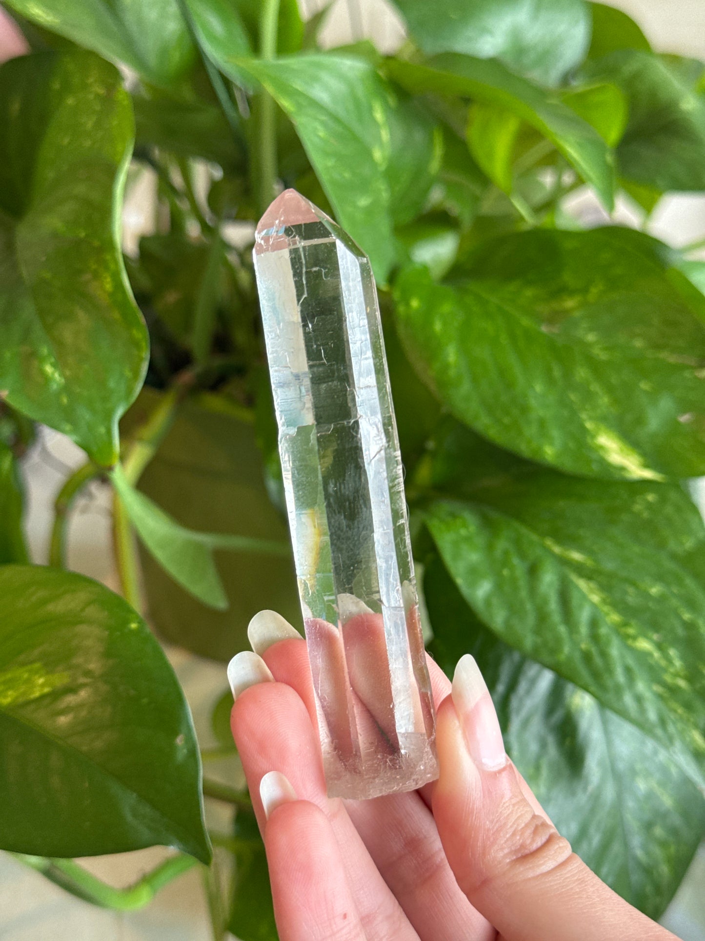 High Grade Lemurian Quartz Scepter Point