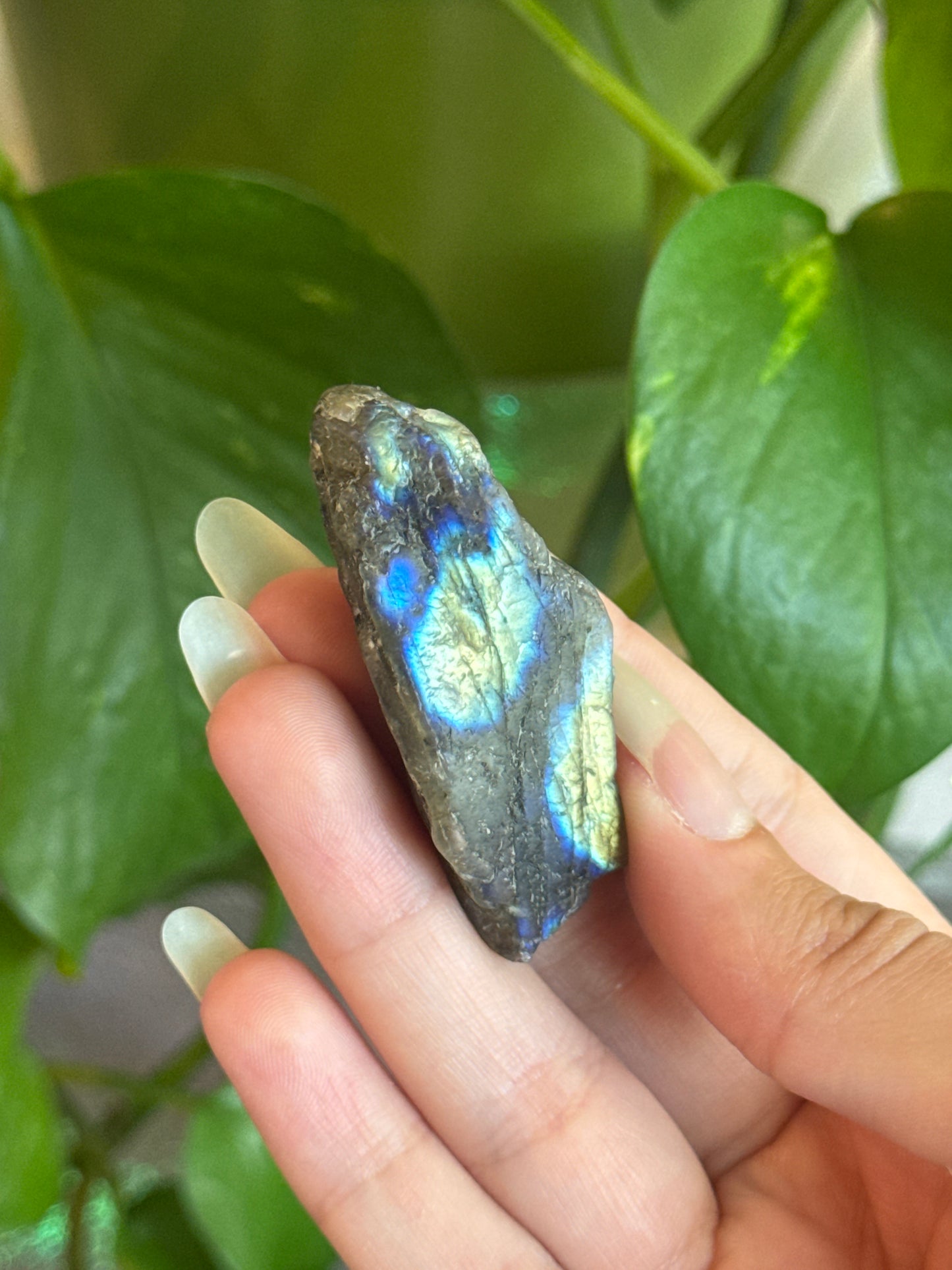 Labadorite Specimen (different flash patterns on both sides, see pic)