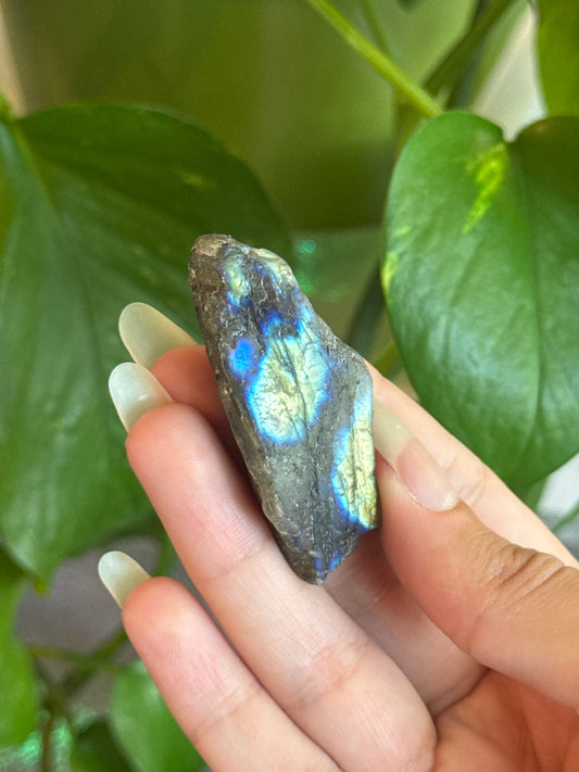 Labadorite Specimen (different flash patterns on both sides, see pic)