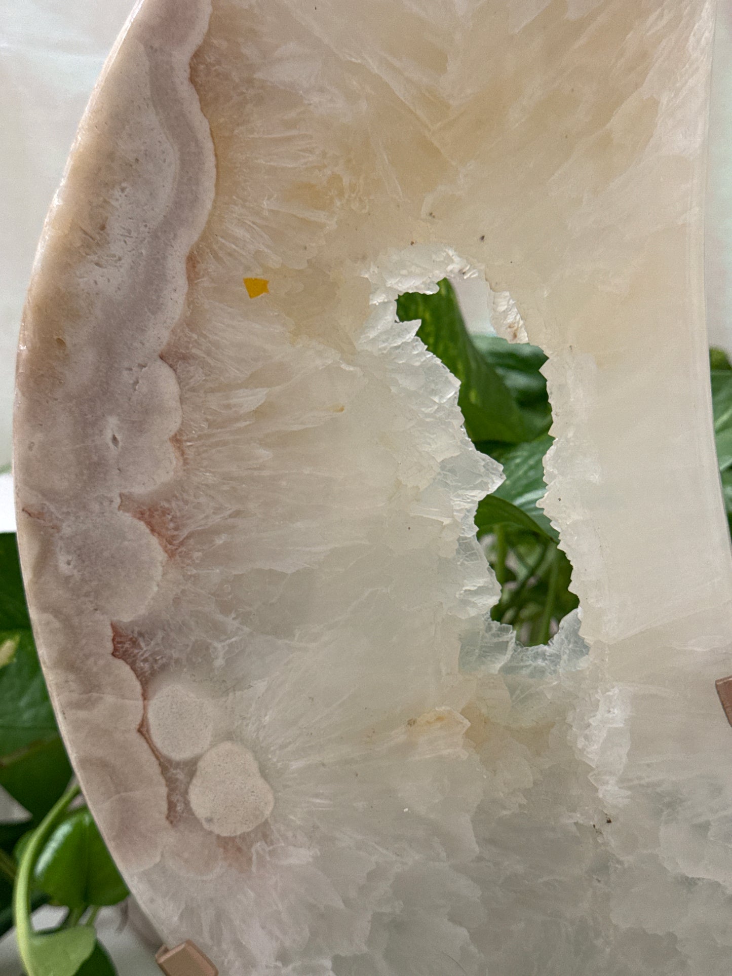 Druzy Flower Agate & Pink Amethyst & Clear Quartz XL Collectors Moon 15” tall