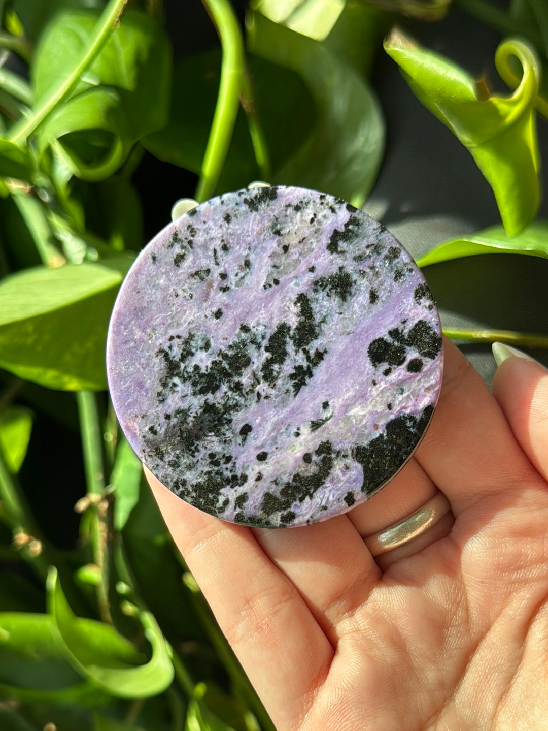 Charoite Disk