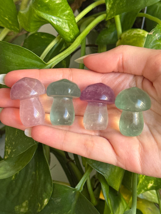 Fluorite Mushroom