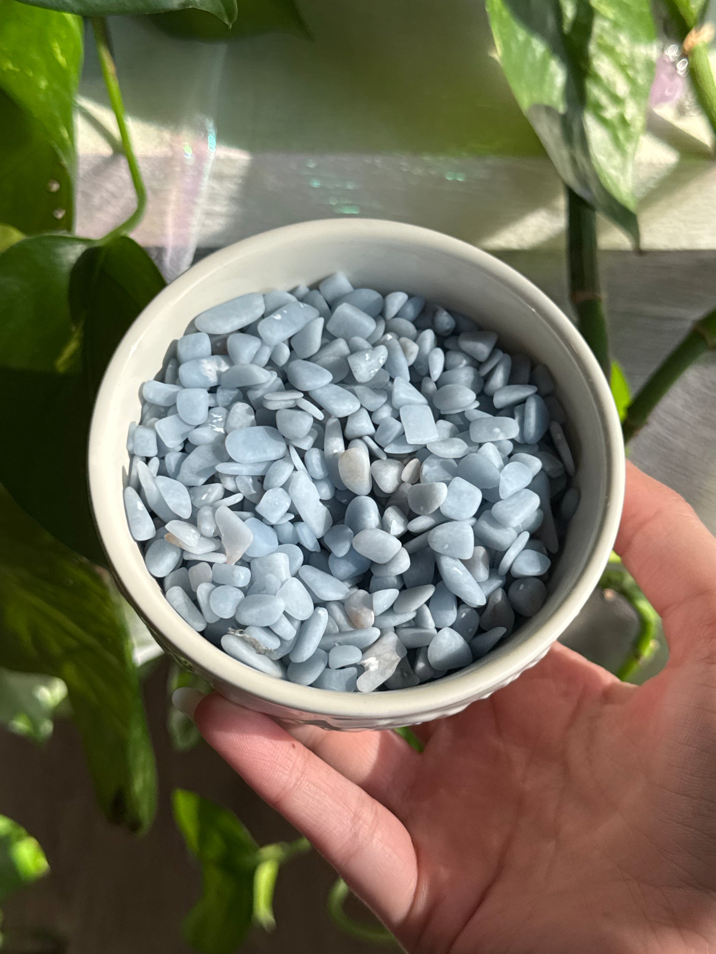 Angelite Chips
