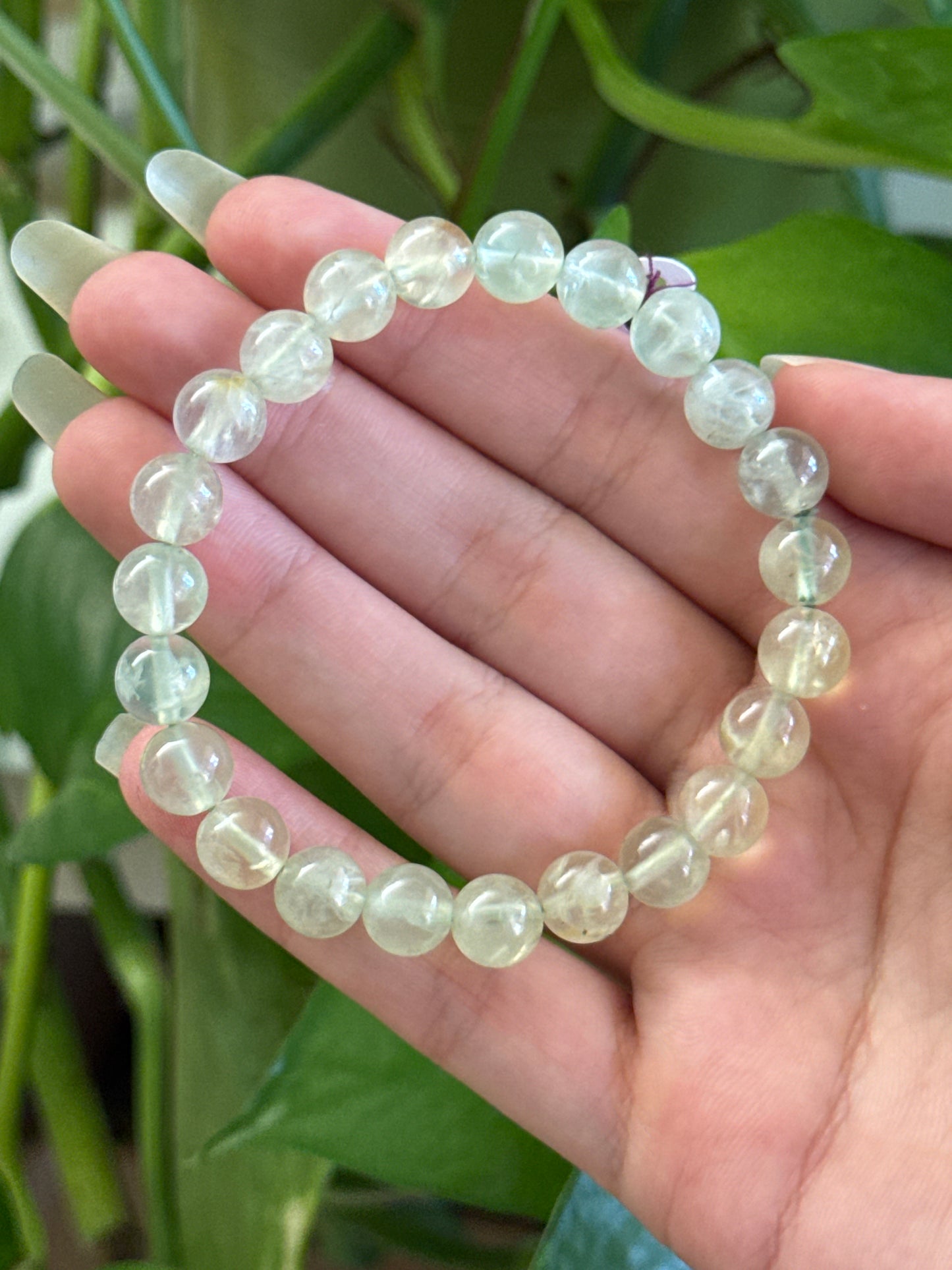 Gemmy Prehnite Bracelet