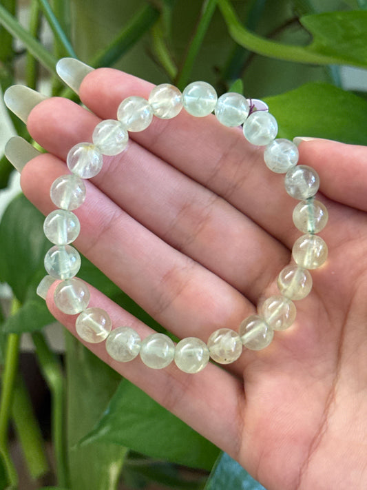 Gemmy Prehnite Bracelet
