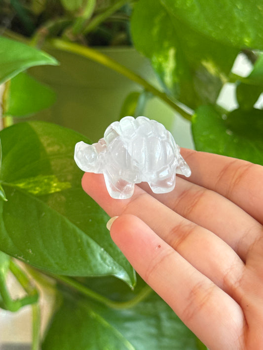 Super Clear Yttrium Fluorite Tortoise Carving