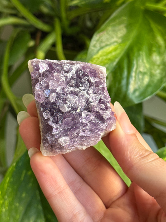 Amethyst Cluster B