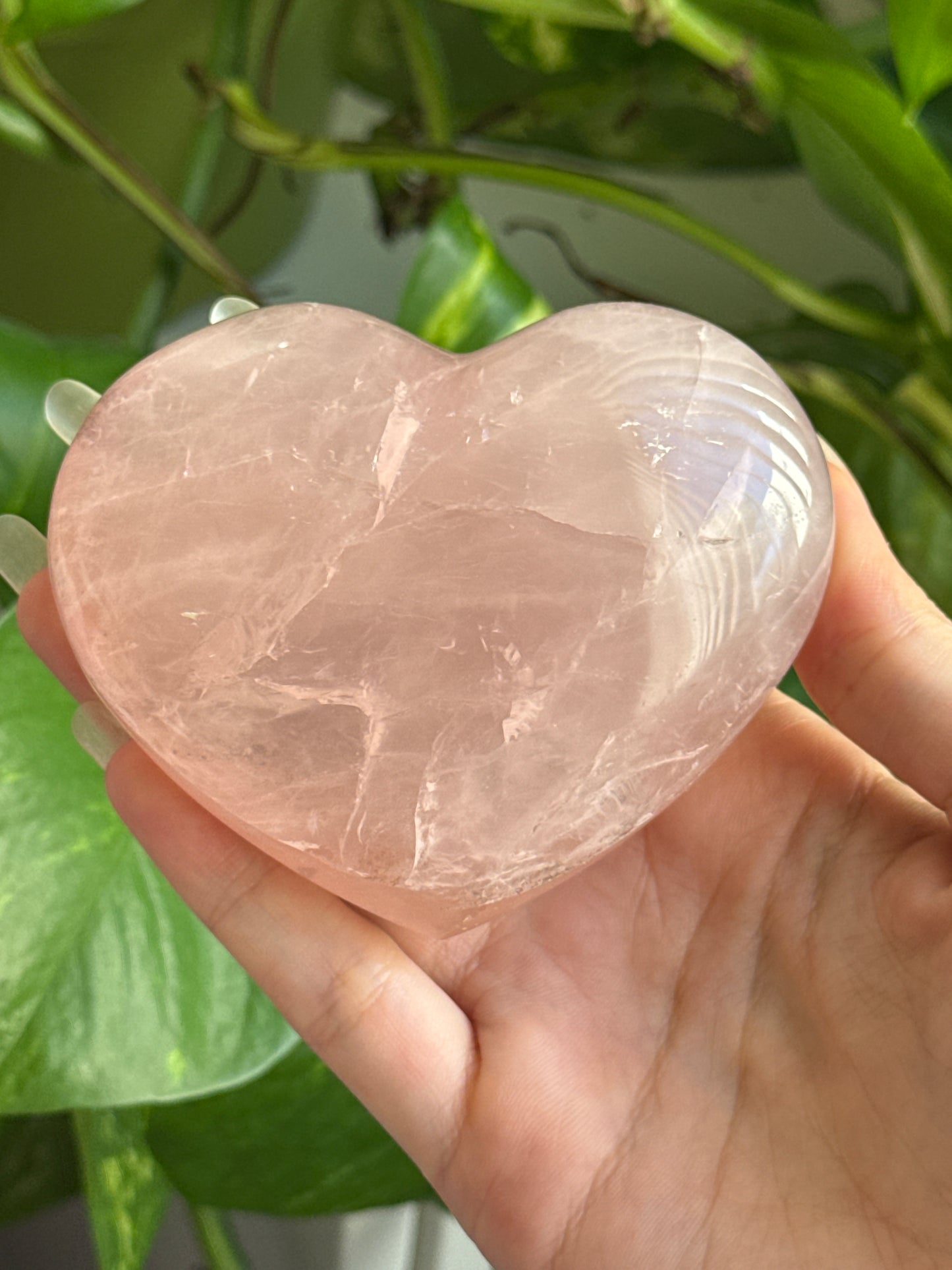 Gemmy Rose Quartz Chubby Heart With Asterism