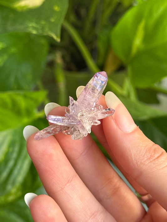 Vera Cruz Amethyst Specimen
