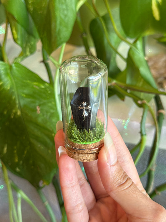 Obsidian Coffin Mini Crystal Terrarium