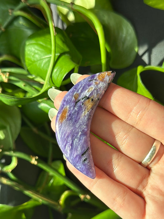 High Grade Charoite Moon With Chatoyancy