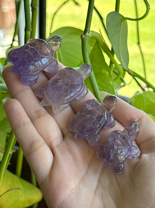 Ametrine Turtle