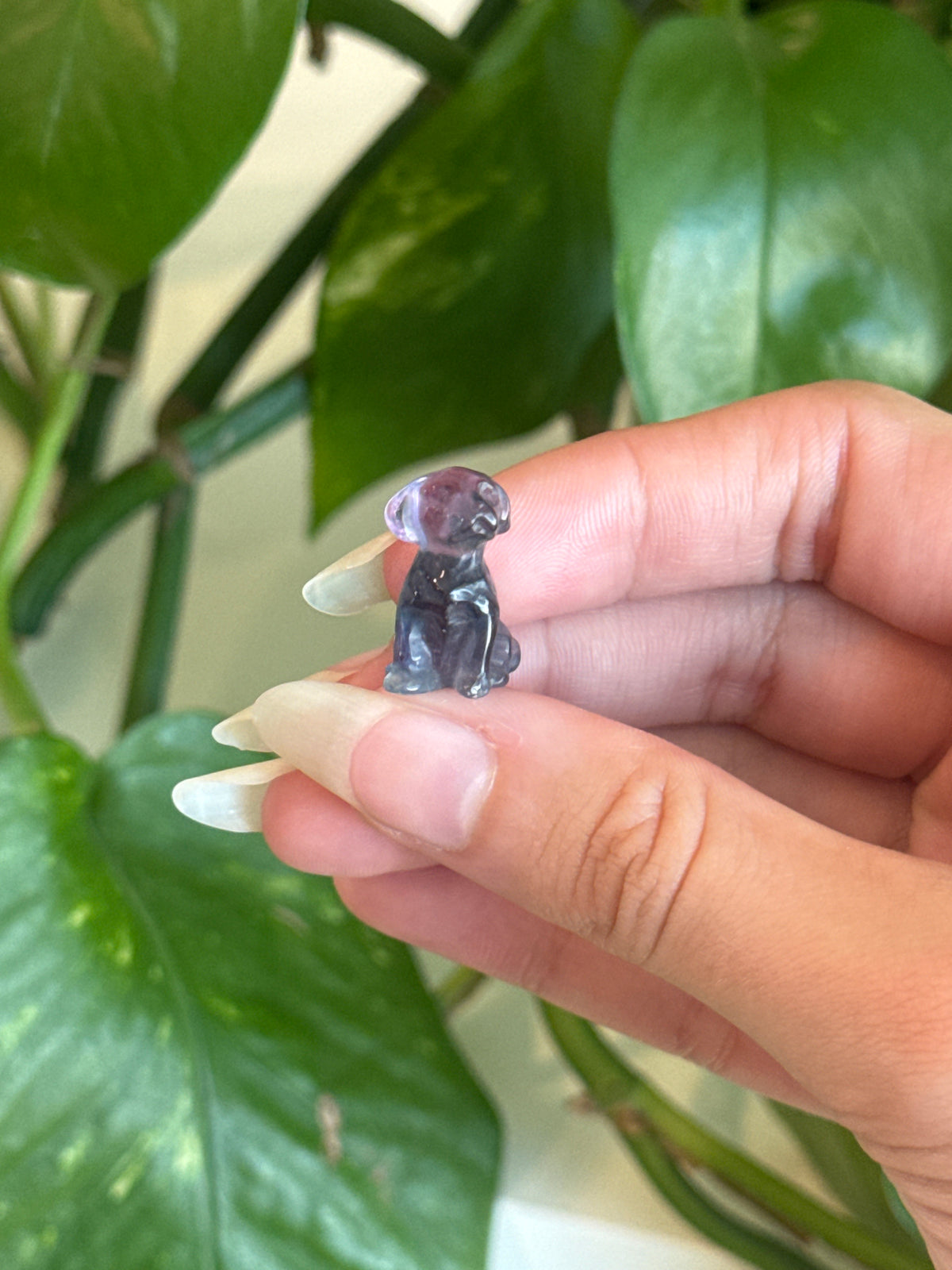 Fluorite Dog B