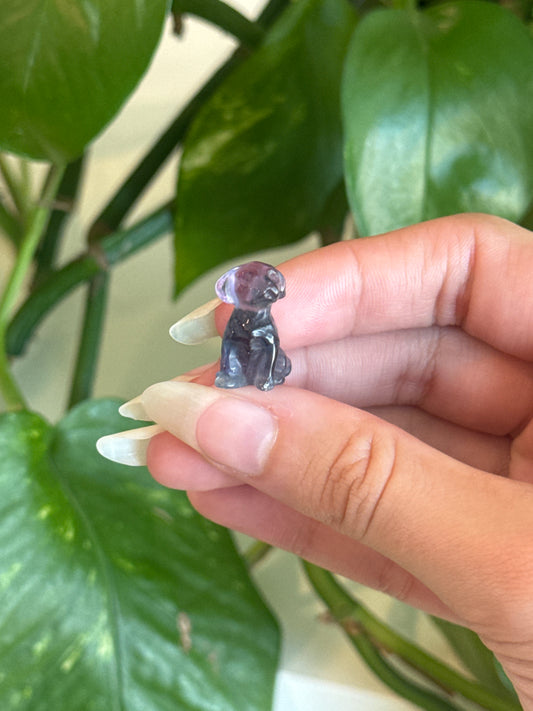 Fluorite Dog B