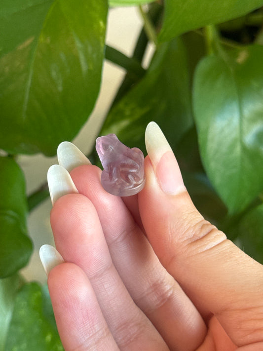 Fluorite Cutie Frog