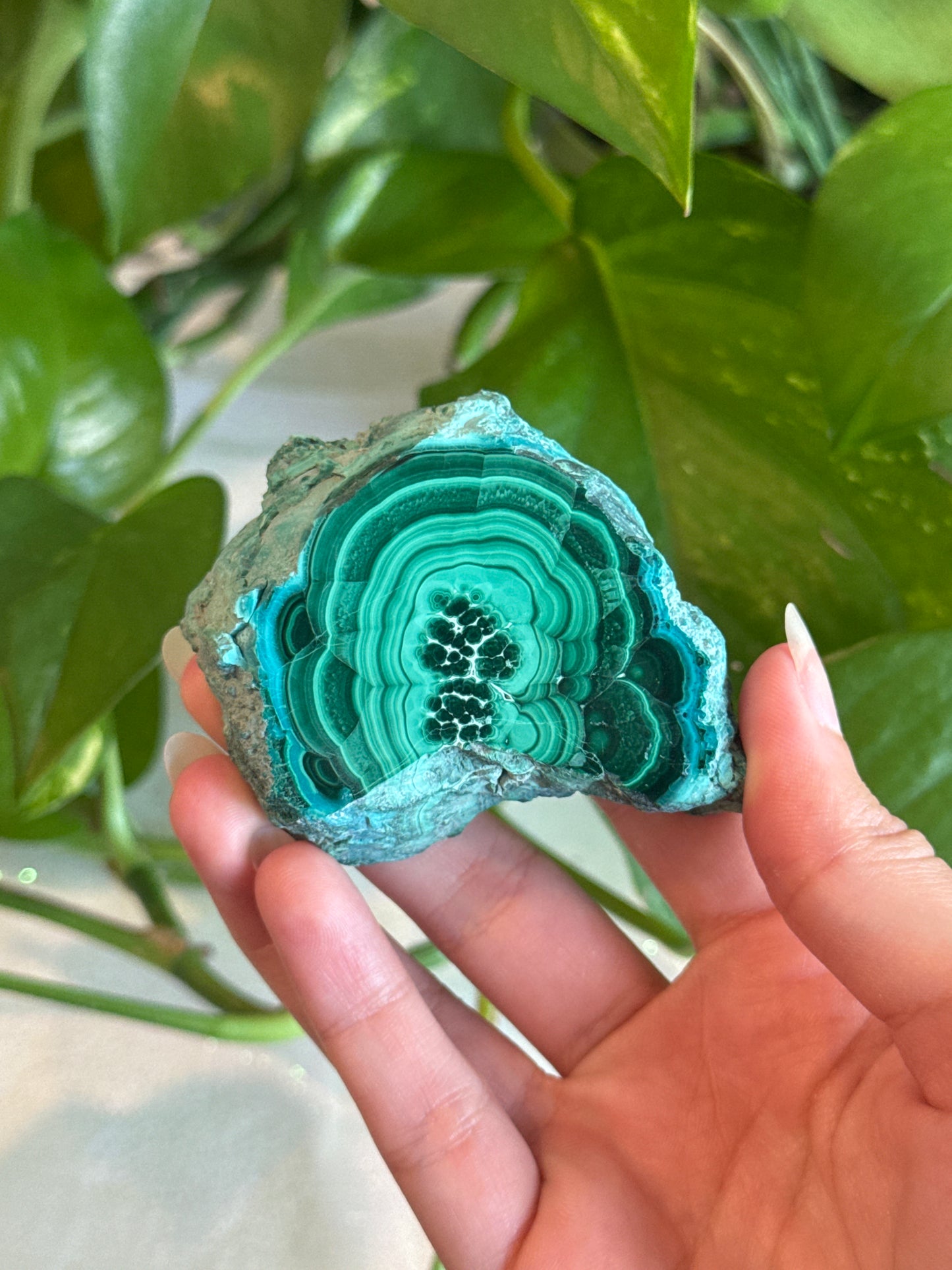 Malachite & Chrysocolla Unique Specimen Slab E