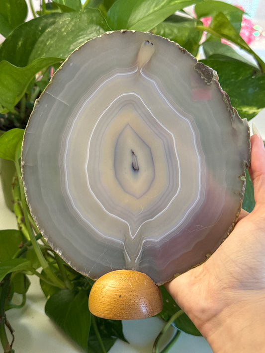 Statement Lavender Banded Agate Slab
