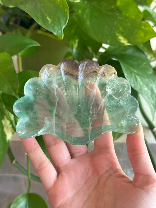 Large Green & Purple Fluorite Shell Bowl with Dendrites