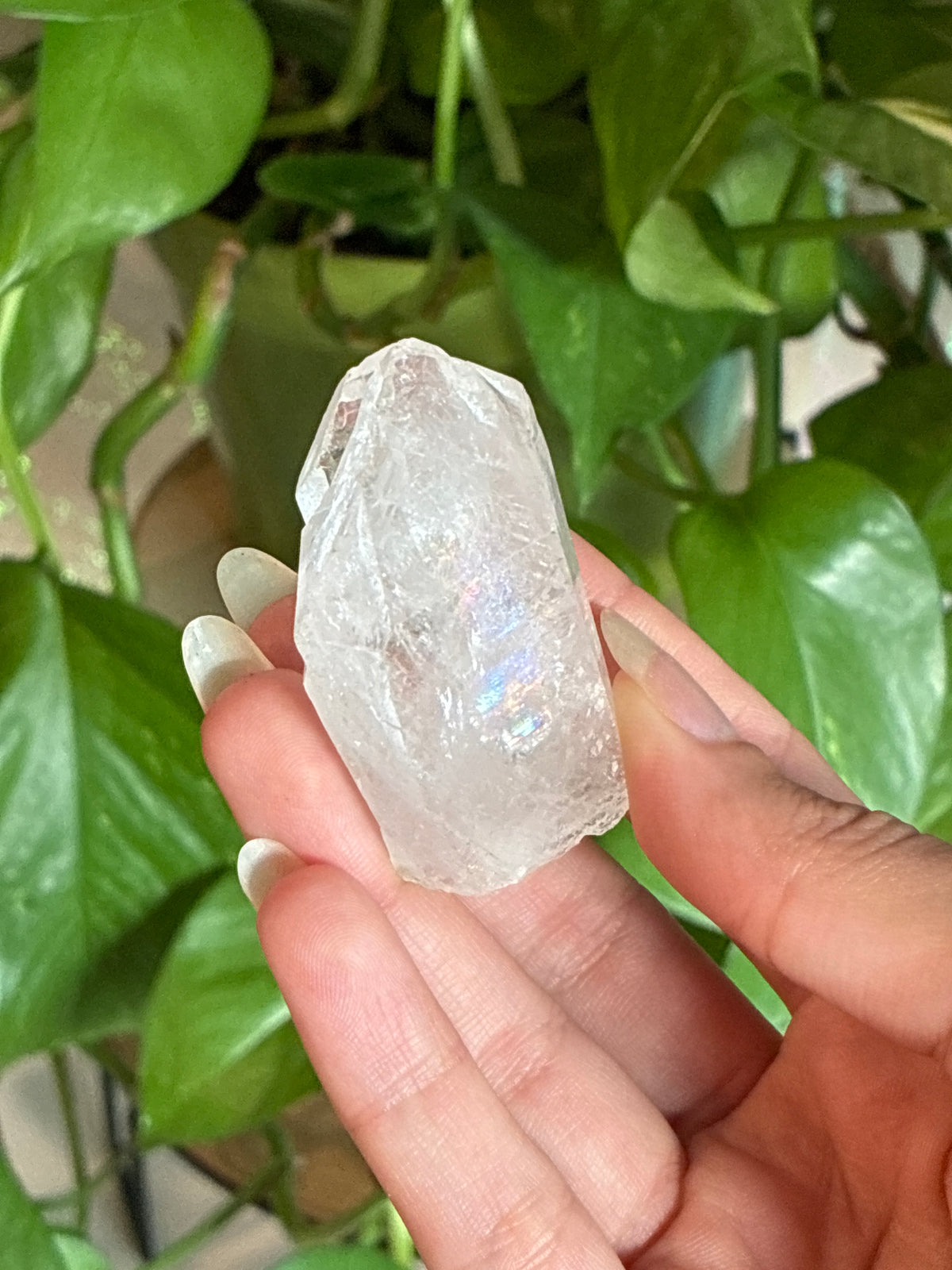 Clear Quartz Point with Rainbows