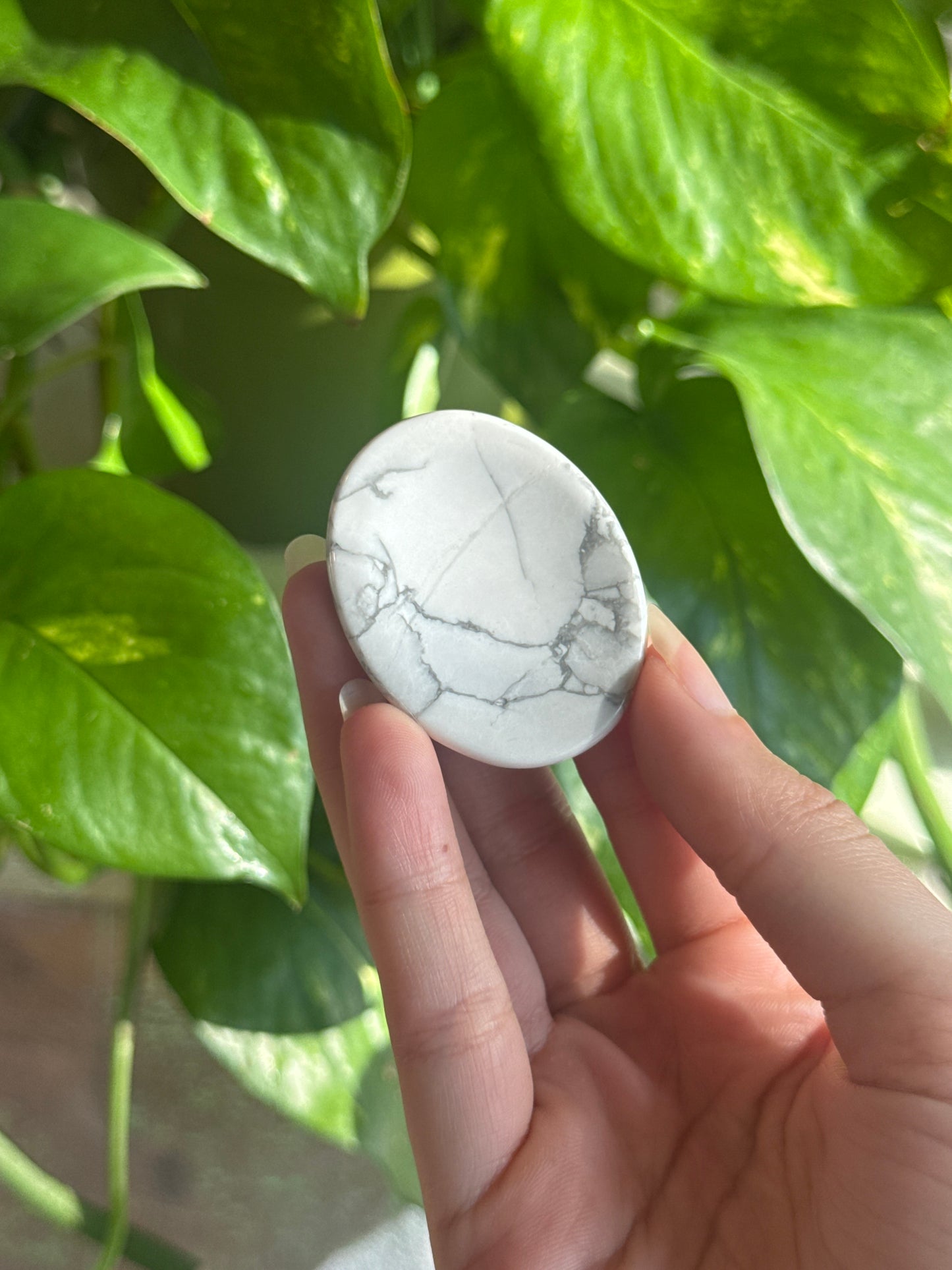 Howlite Worry Stone