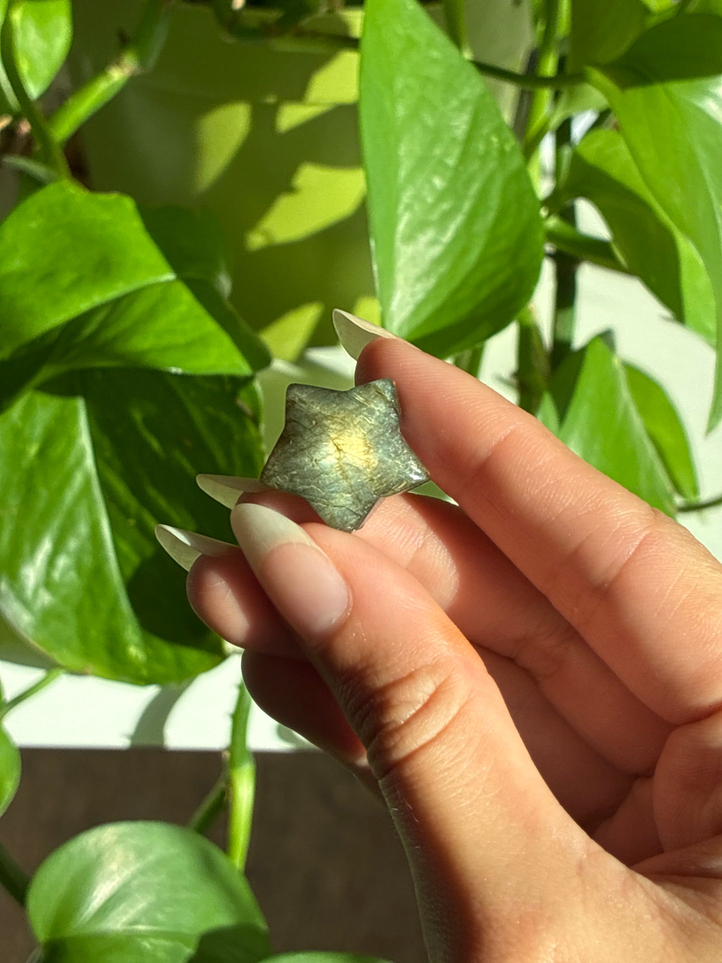 Full Flash Labradorite Imperfect Star