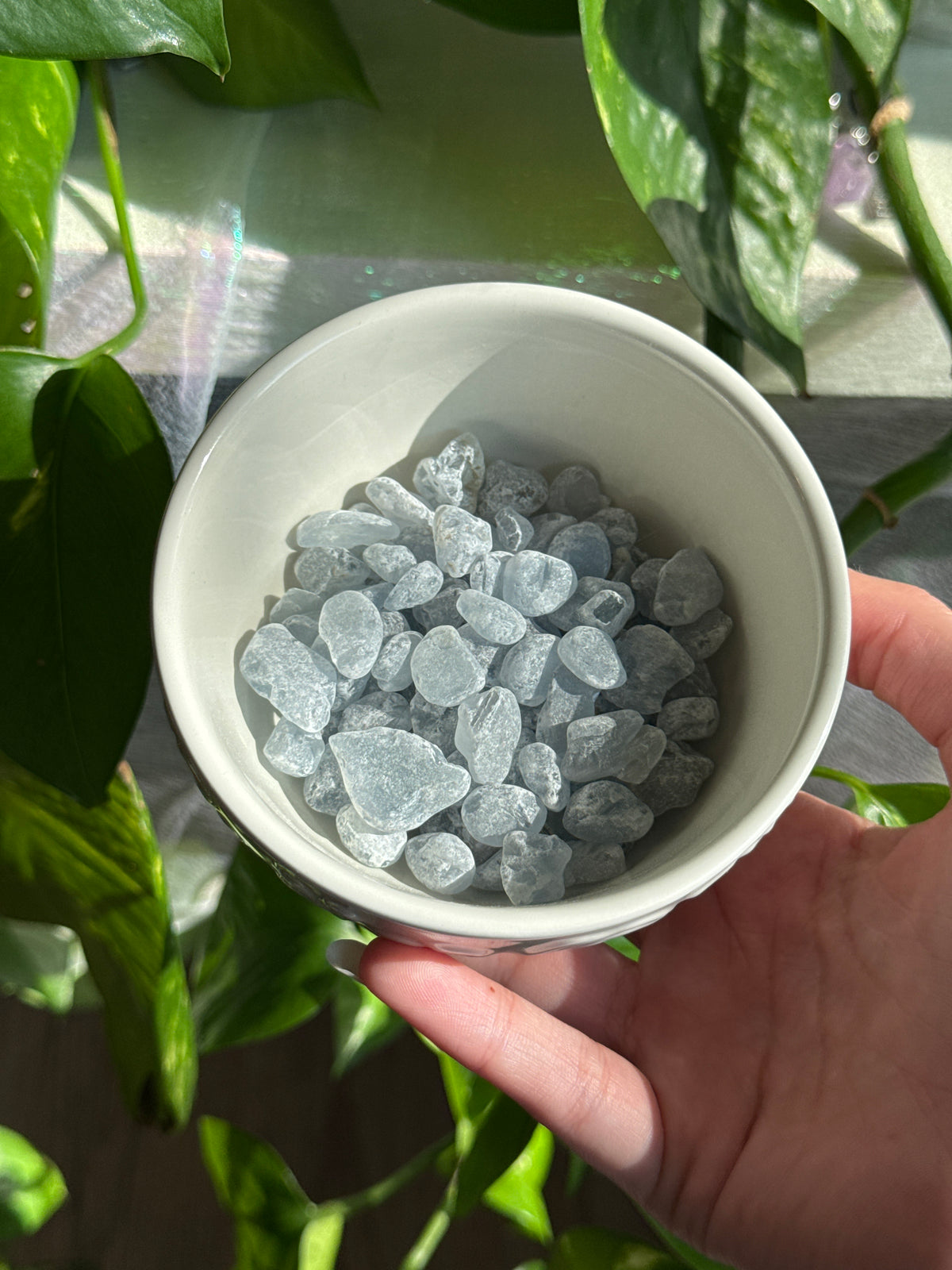 Celestite Raw Chips