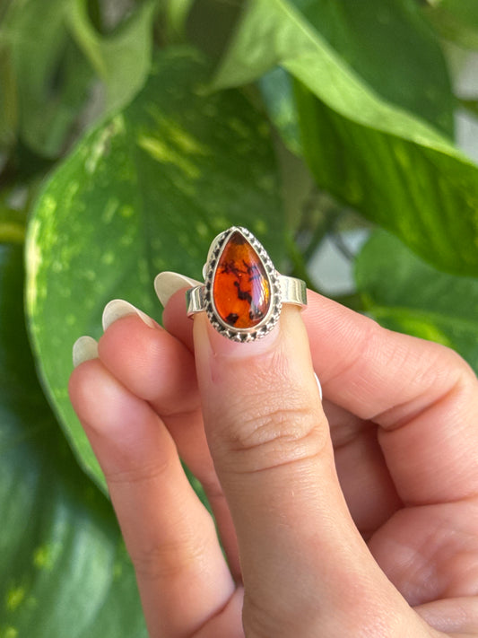 Amber 925 Sterling Silver Ring Size 5