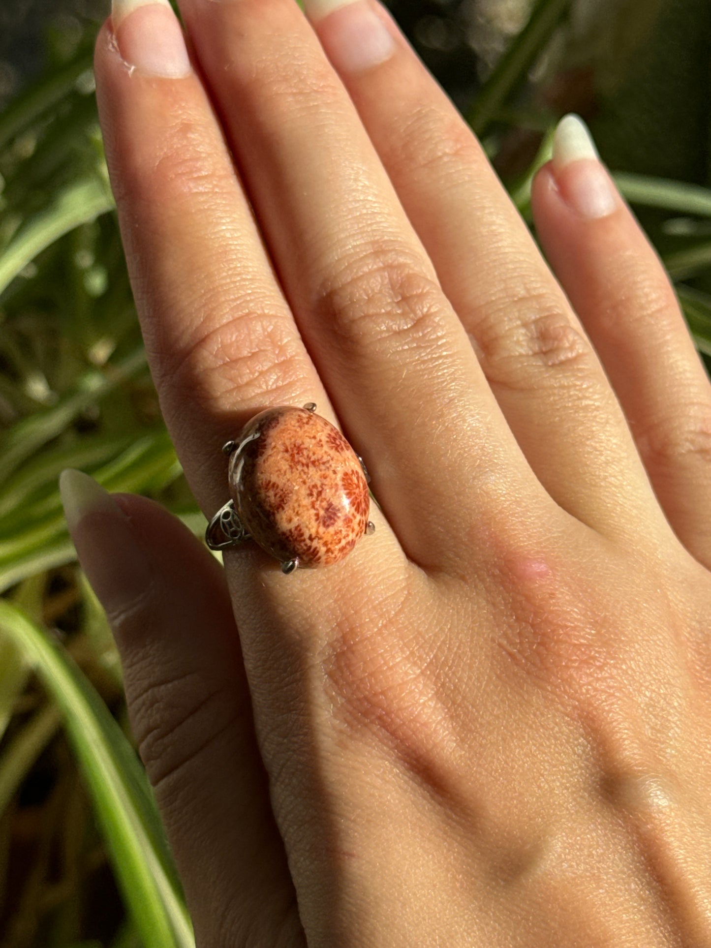 Fossilized Coral Adjustable Ring | You Pick