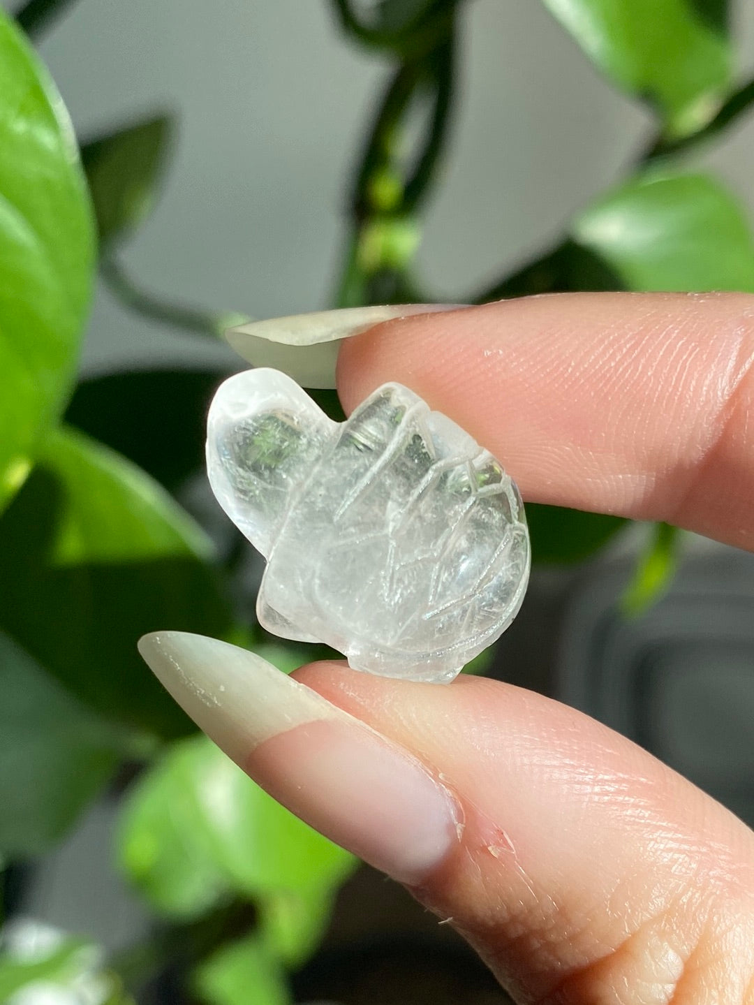 Clear Quartz Mini Turtle