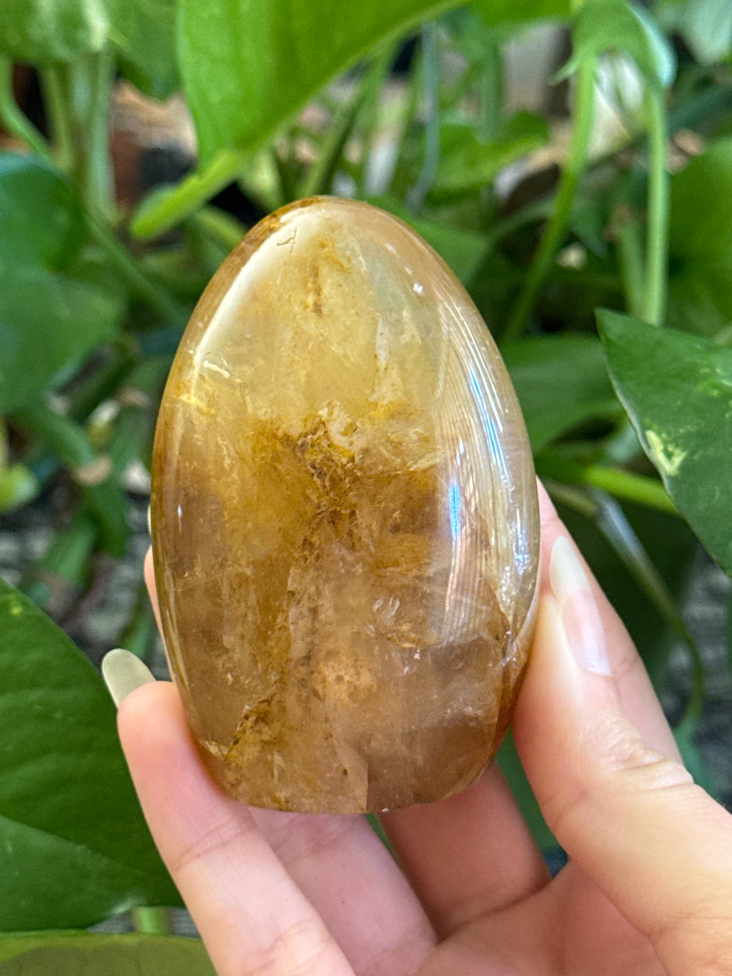 Star Flash Golden Healer Freeform B *see vid for asterism*