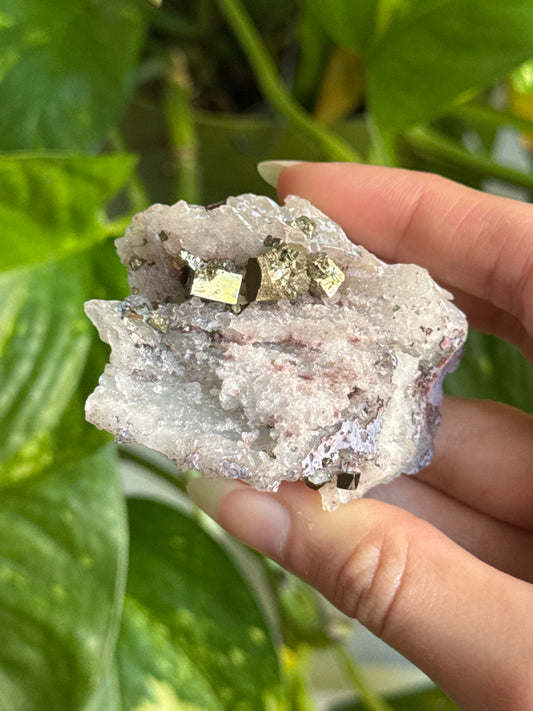 Cubic Pyrite on Quartz Specimen C